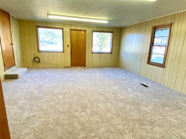 101 E Cedar St, Bertrand, MO 63823 - spare room with healthy amount of natural light, carpet, and wooden walls
