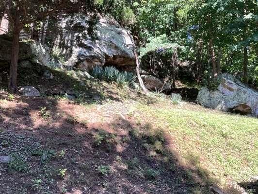 1102 County Road 5, Rockwood, IL 62280 - view of nature