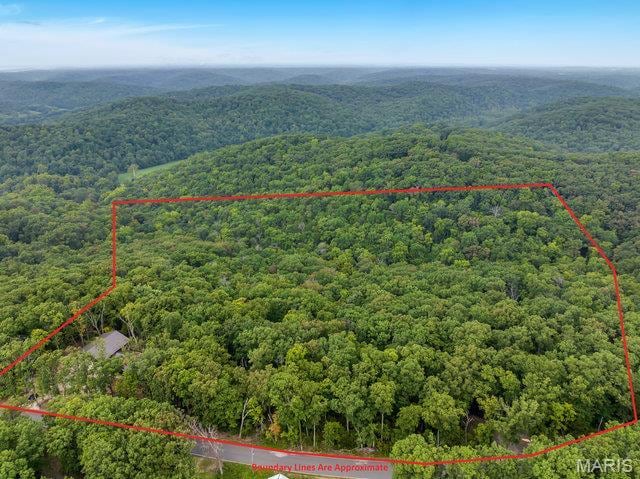 18305 Joerling Ln, Marthasville, MO 63357 - view of property location with a forest and property parcel outlined