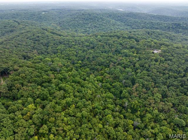 18305 Joerling Ln, Marthasville, MO 63357 - aerial view of a heavily wooded area