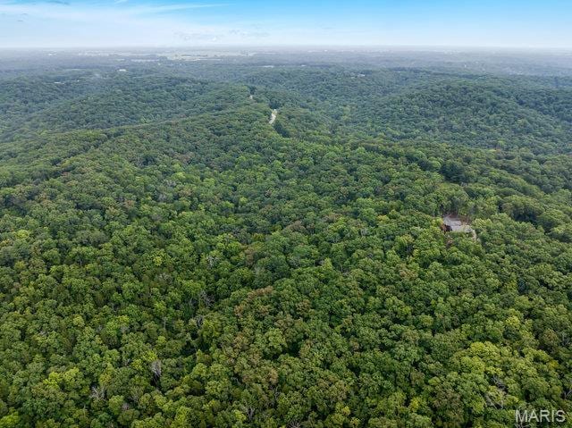 18305 Joerling Ln, Marthasville, MO 63357 - aerial view of a forest