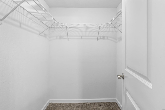105 N Coffman St, Park Hills, MO 63601 - walk in closet featuring carpet