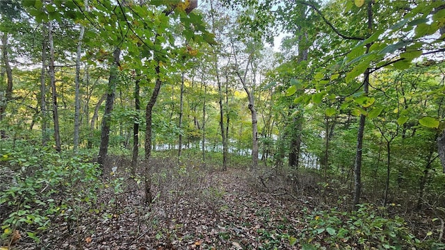 950 Long Bow Dr, Lake Sherwood, MO 63357