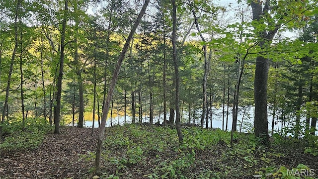 950 Long Bow Dr, Lake Sherwood, MO 63357