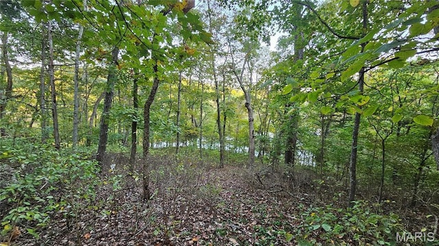 950 Long Bow Dr, Lake Sherwood, MO 63357