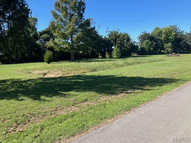 111 W Wilkey Dr, Risco, MO 63874 - photo 14