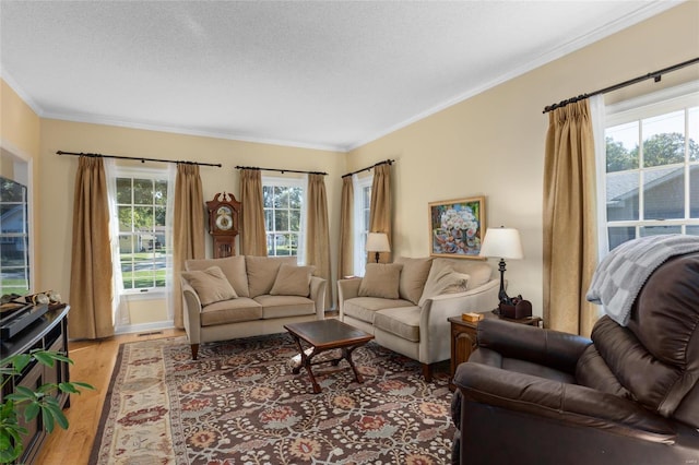 1125 N Franklin St, Litchfield, IL 62056 - living room featuring crown molding, light wood-style floors, and a textured ceiling