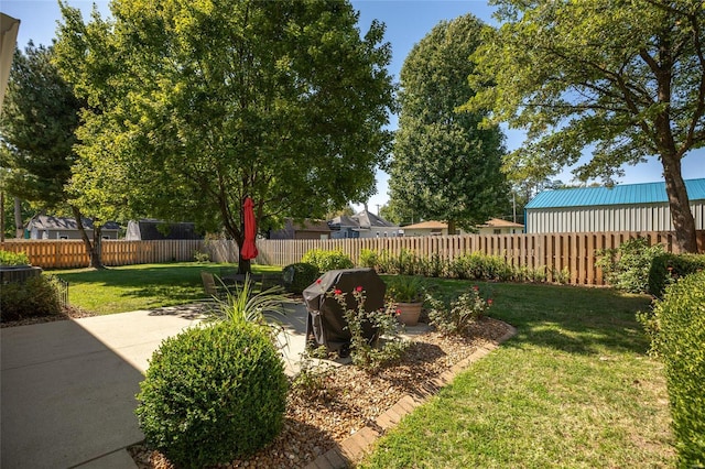 1125 N Franklin St, Litchfield, IL 62056 - view of yard
