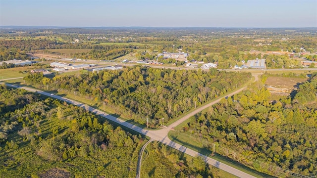 100 E Woodlawn Dr, Park Hills, MO 63601 - photo 1