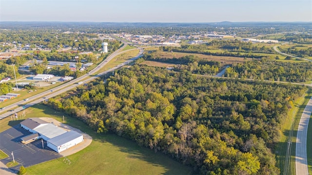 100 E Woodlawn Dr, Park Hills, MO 63601 - photo 4