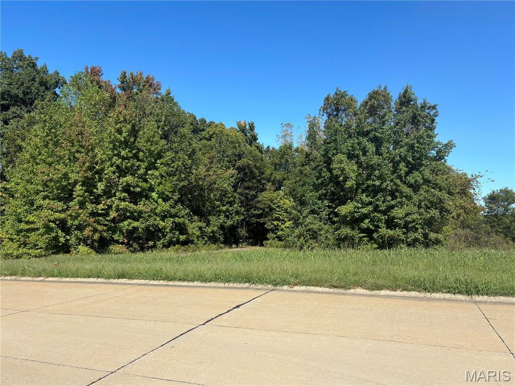 5678 Dalhousie Dr, Cape Girardeau, MO 63701 - photo 2