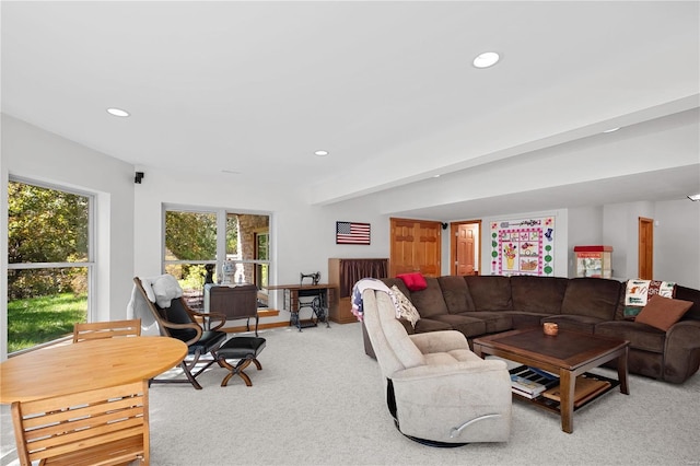 6800 Promise Pt, House Springs, MO 63051 - living area featuring light carpet and recessed lighting