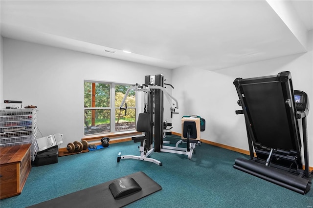 6800 Promise Pt, House Springs, MO 63051 - workout room featuring baseboards and carpet