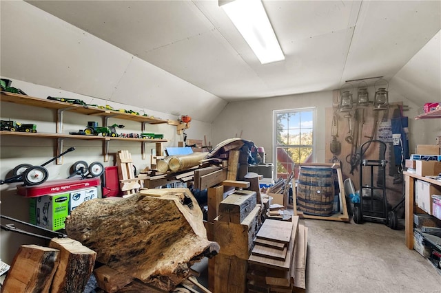 6800 Promise Pt, House Springs, MO 63051 - view of storage area