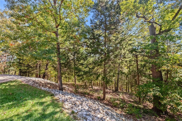 6800 Promise Pt, House Springs, MO 63051 - view of yard with a view of trees