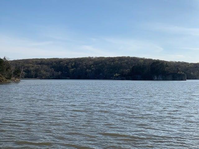 40 Lake Shore Dr N, New Florence, MO 63363 - photo 6