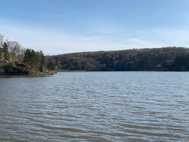 40 Lake Shore Dr N, New Florence, MO 63363 - photo 7