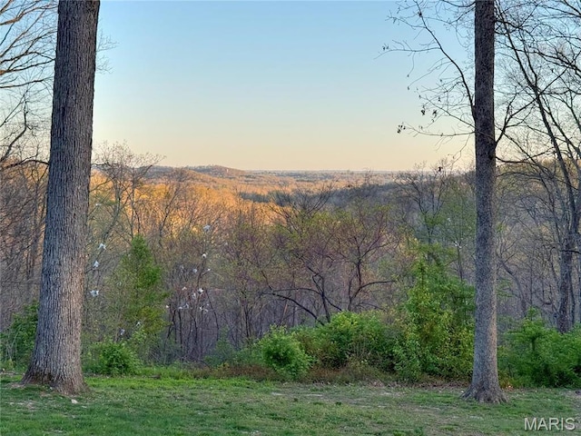 water view with a forest