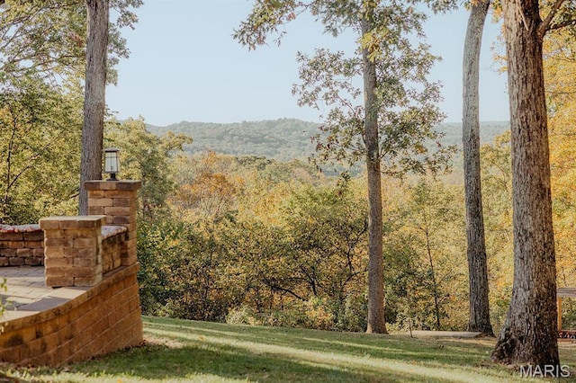 view of mountain background with a heavily wooded area