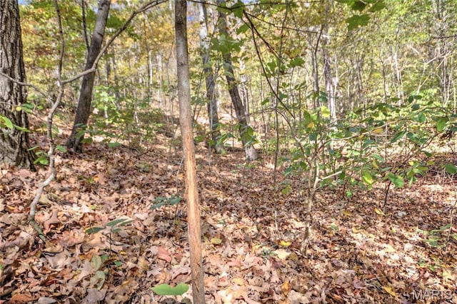 view of wooded area