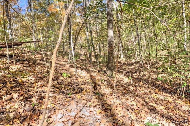 view of tree filled area