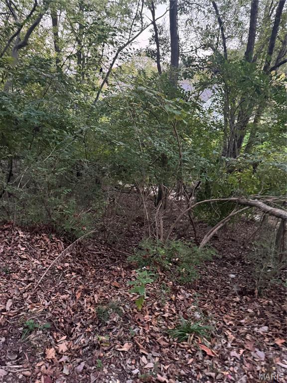 1443 Richland Meadows Dr, Ballwin, MO 63021 - photo 2