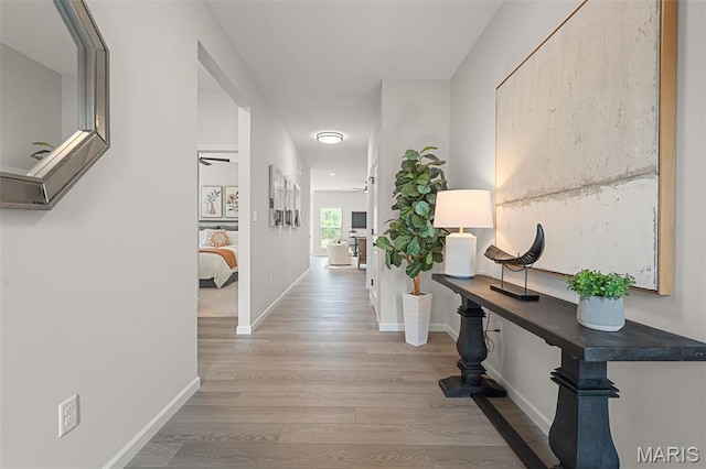 511 Kit Fox Ct, Eureka, MO 63025 - hall featuring wood finished floors and baseboards