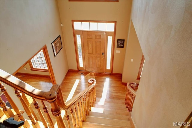 334 Spring Lake Rd, Millstadt, IL 62260 - entryway with a high ceiling, light wood-style flooring, and baseboards