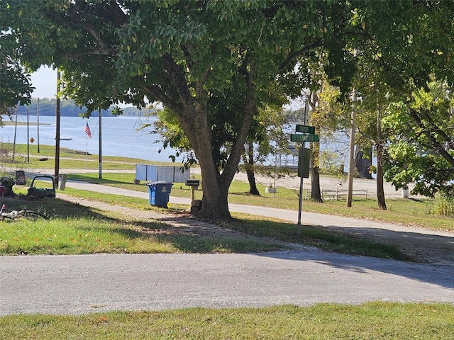 174 Clinton St, Hamburg, IL 62045 - view of property's community with a water view