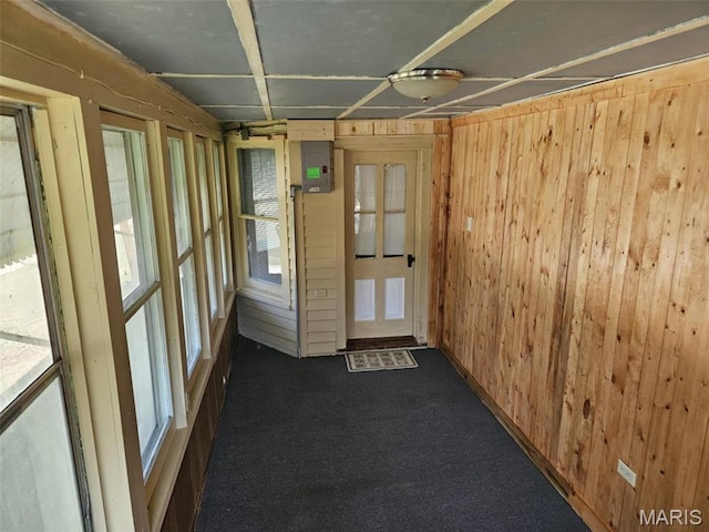 174 Clinton St, Hamburg, IL 62045 - unfurnished room with wooden walls and dark colored carpet