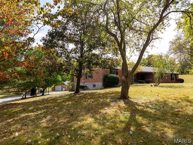 view of green lawn