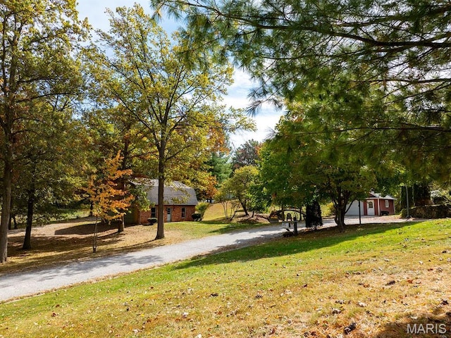 view of green lawn