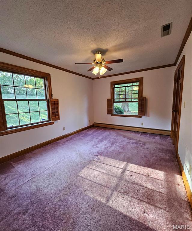carpeted spare room featuring ornamental molding, plenty of natural light, a textured ceiling, ceiling fan, and baseboards