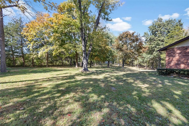 1145 Danby Rd, Festus, MO 63028 - view of grassy yard