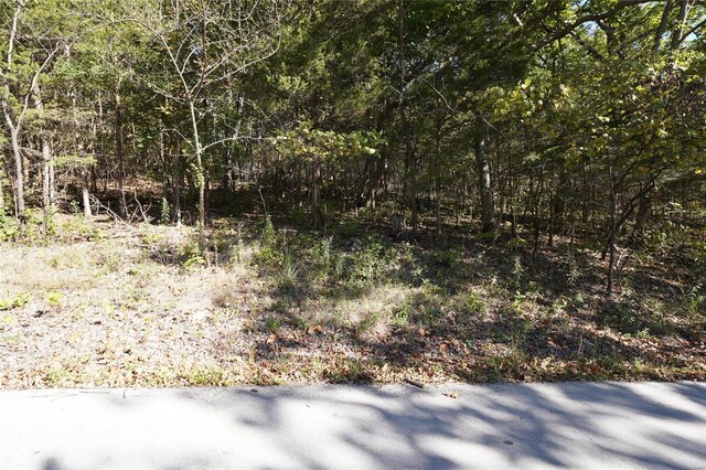 0 Epple-Fricke Dr, Hermann, MO 65041 - photo 2