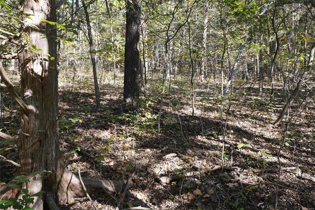 0 Epple-Fricke Dr, Hermann, MO 65041 - photo 3