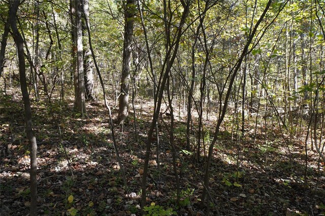 0 Epple-Fricke Dr, Hermann, MO 65041 - photo 4