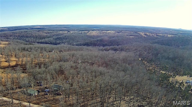 0 County Road 553a, Gainesville, MO 65655 - photo 2