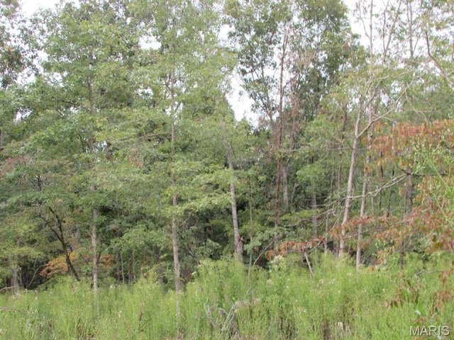 0 County Road 553a, Gainesville, MO 65655 - photo 5
