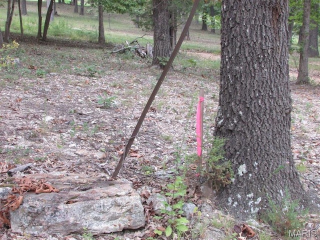 0 County Road 553a, Gainesville, MO 65655 - photo 7