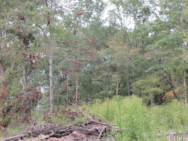 0 County Road 553a, Gainesville, MO 65655 - photo 9