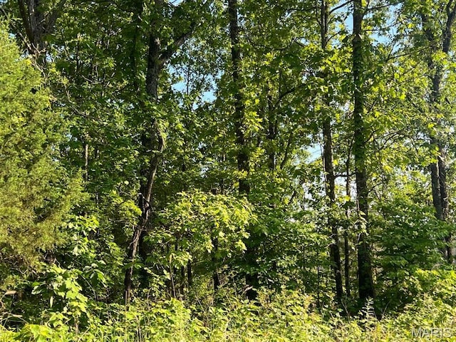0 County Road 553a, Gainesville, MO 65655 - photo 14