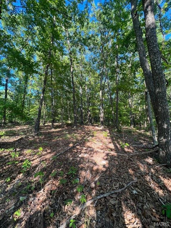 0 County Road 553a, Gainesville, MO 65655 - photo 15