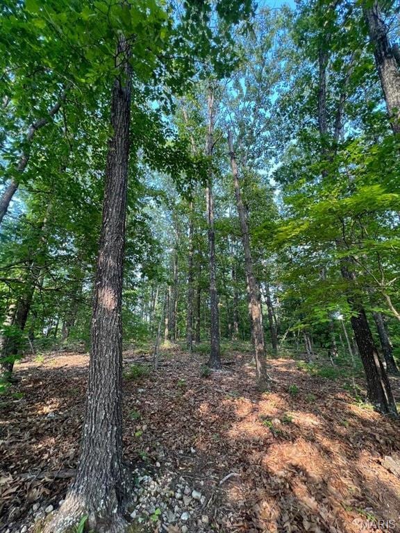 0 County Road 553a, Gainesville, MO 65655 - photo 17