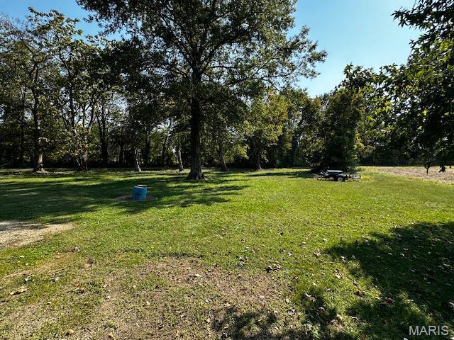 699 State Highway V, Sturdivant, MO 63782 - view of green lawn