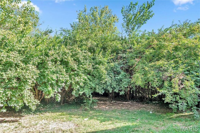 11409 Manchester Rd, Saint Louis, MO 63122 - view of green lawn