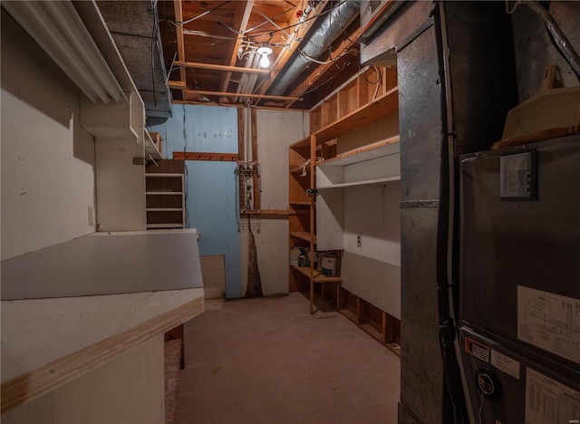 12191 County Road 637, Dexter, MO 63841 - view of unfinished below grade area