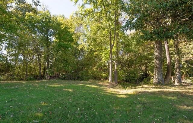 12191 County Road 637, Dexter, MO 63841 - view of grassy yard featuring a forest view