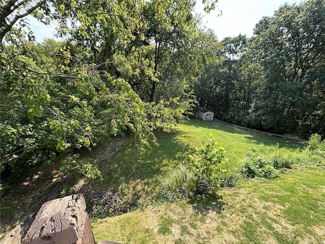 view of green lawn with a storage unit and an outdoor structure
