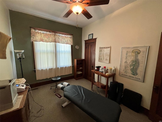 203 W Booneslick Rd, Warrenton, MO 63383 - workout room with carpet and ceiling fan